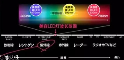 belulu大排燈怎么樣？belulu大排燈和exideal大排燈哪個(gè)好