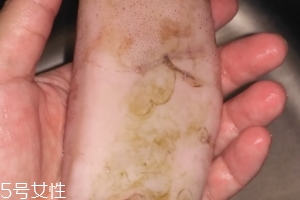 魷魚是海鮮嗎？魷魚屬于海鮮嗎？