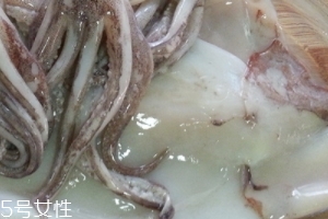 魷魚是烏賊嗎？魷魚跟烏賊是一種嗎？