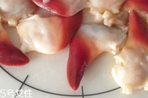 北極貝是海鮮嗎？北極貝介紹