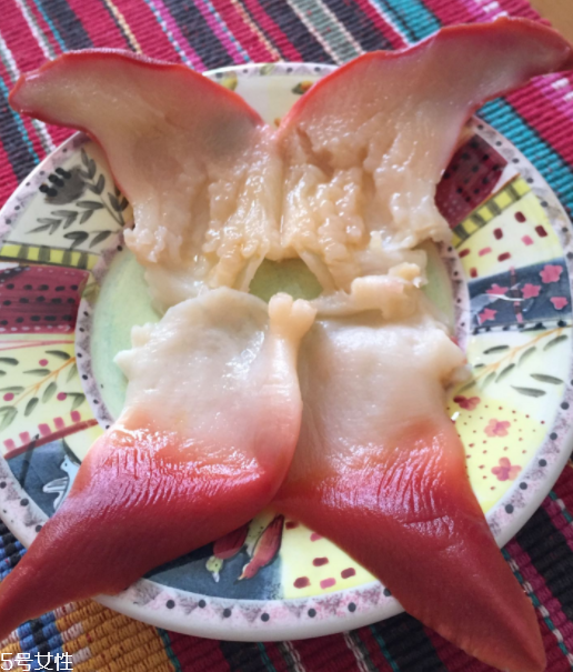 北極貝是海鮮嗎？北極貝介紹