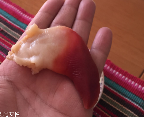 北極貝是海鮮嗎？北極貝介紹