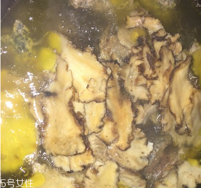 烏骨雞是烏雞嗎？烏骨雞是什么雞？