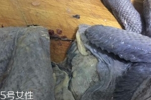 烏雞下奶嗎？烏雞怎么吃下奶？
