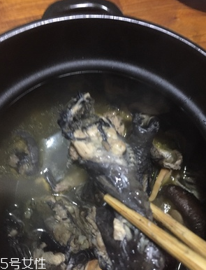 烏雞是公雞好還是母雞好？烏雞買公雞還是母雞？