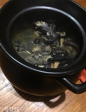 烏雞是公雞好還是母雞好？烏雞買公雞還是母雞？