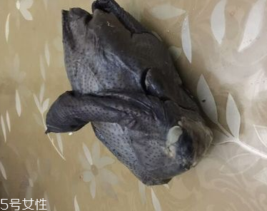 烏雞是熱性還是涼性？烏雞偏熱還是偏涼？