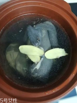 烏雞是熱性還是涼性？烏雞偏熱還是偏涼？
