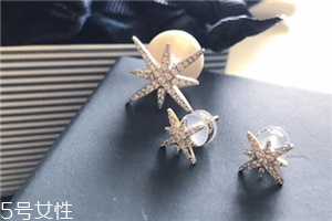 耳釘一定要純銀的嗎？耳釘不是銀的行嗎？