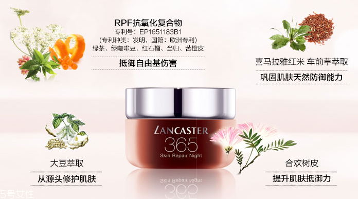 蘭嘉絲汀熬夜霜多少錢 蘭嘉絲汀365晚霜西班牙價格 蘭嘉絲汀熬夜霜多少錢 蘭嘉絲汀365晚霜西班牙價格