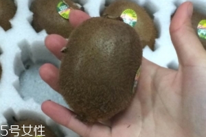 綠心獼猴桃怎么催熟？綠心獼猴桃的催熟方法