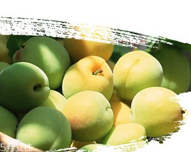 青梅丸的功效與作用 青梅丸能治什么??？