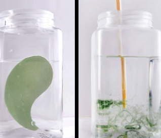 悅蕾眼膜多少錢(qián)一盒？悅蕾眼膜一盒多少片
