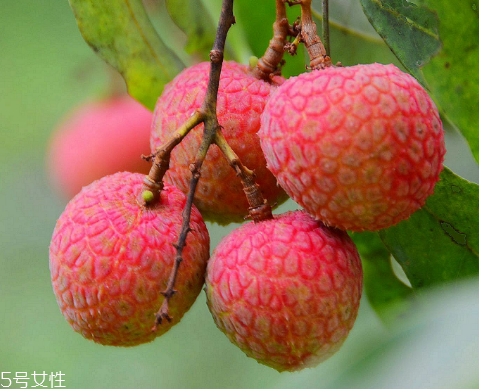 荔枝是涼性還是熱性？月經(jīng)來了能吃荔枝嗎