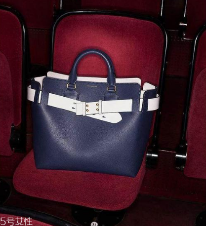 burberry the belt是什么皮？巴寶莉貝爾特包材質(zhì)