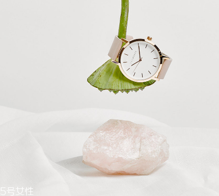 the horse手表多少錢？the horse手表價(jià)位