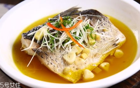 青魚怎么養(yǎng)殖?青魚好養(yǎng)嗎？