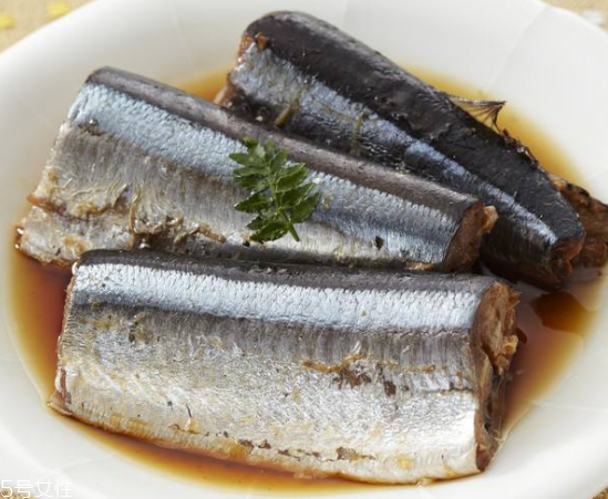 青魚怎么釣？青魚可以用什么餌料？