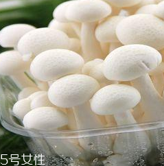 白玉菇的營(yíng)養(yǎng)價(jià)值 白玉菇有什么營(yíng)養(yǎng)？