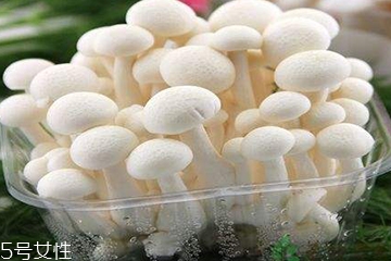 白玉菇為什么是苦的？白玉菇怎么會(huì)苦？