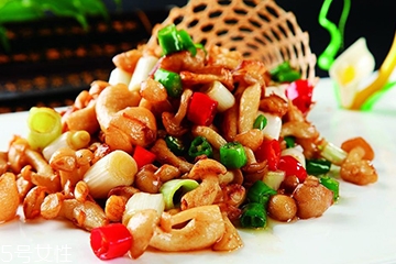 白玉菇和金針菇的區(qū)別 白玉菇是金針菇嗎？