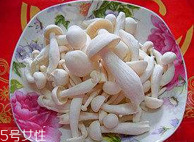 白玉菇能和西紅柿一起吃嗎？白玉菇能和番茄一起吃嗎？