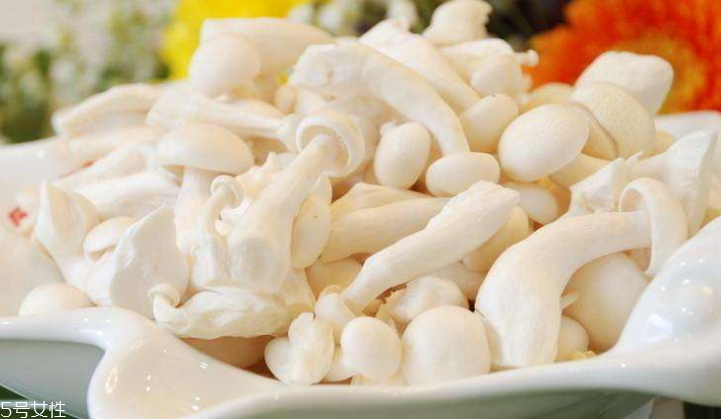 白玉菇長(zhǎng)白毛是怎么回事？白玉菇長(zhǎng)白毛還能吃嗎？