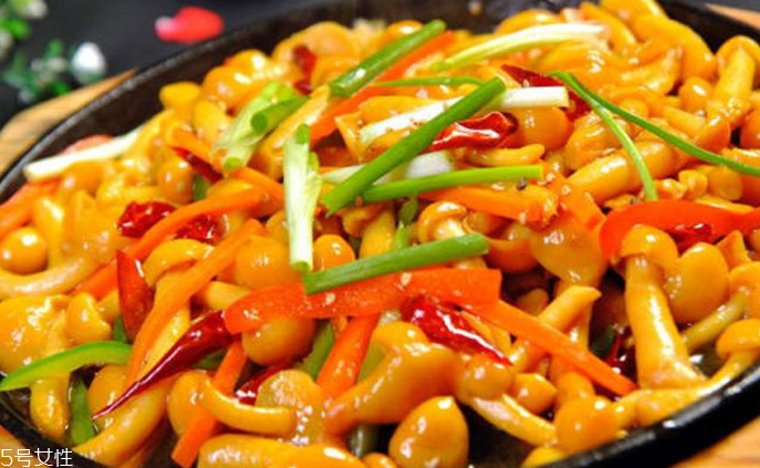 滑子菇野生和滑子菇養(yǎng)殖的區(qū)別 野生滑子菇的好嗎？