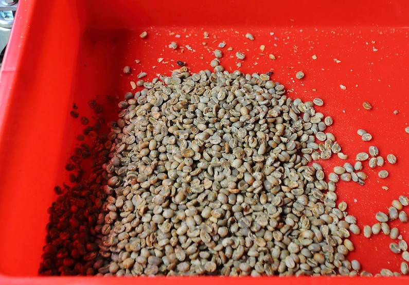 咖啡豆新豆、舊豆、老豆各有什么特色