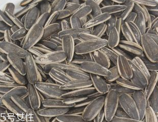 葵瓜子能帶上飛機(jī)嗎？葵瓜子能過(guò)安檢嗎？