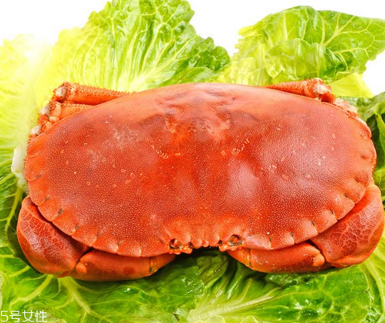 面包蟹肉多嗎？面包蟹幾月份最肥