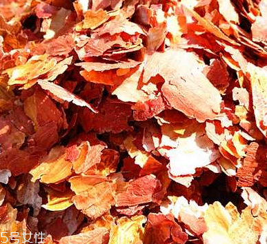 花生衣是什么？花生衣可以吃嗎？