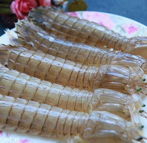 皮皮蝦能長(zhǎng)多大？皮皮蝦最大有多大？