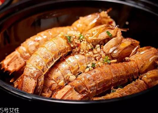 皮皮蝦能長(zhǎng)多大？皮皮蝦最大有多大？