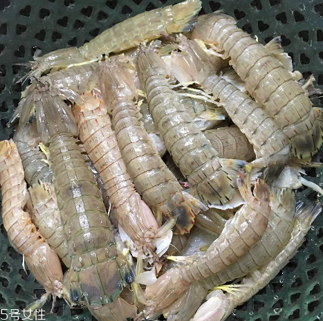 皮皮蝦能和櫻桃一起吃嗎？皮皮蝦和櫻桃可以同吃嗎？