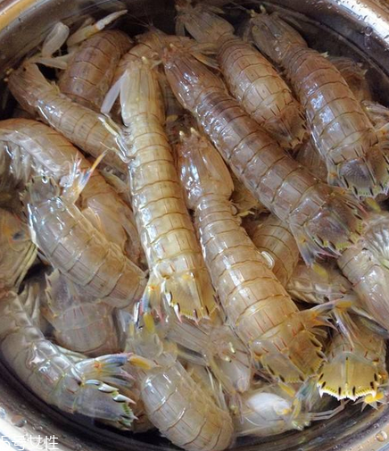 皮皮蝦能和荔枝一起吃嗎？皮皮蝦可以和荔枝同吃嗎？