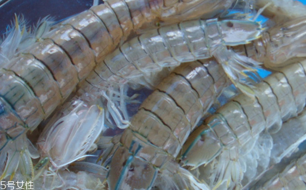 皮皮蝦皮能不能吃？皮皮蝦可以連皮吃嗎？