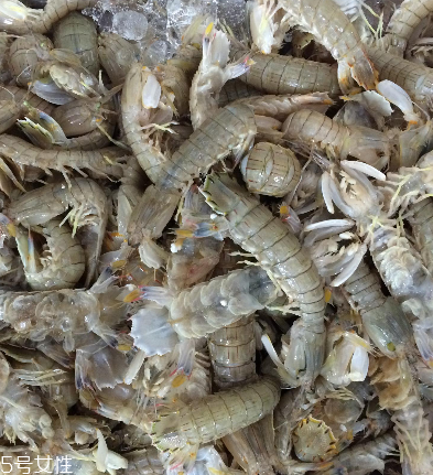 皮皮蝦是海鮮嗎？皮皮蝦是海鮮還是河鮮？