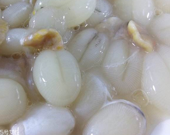 墨魚蛋的做法 墨魚蛋怎么做？