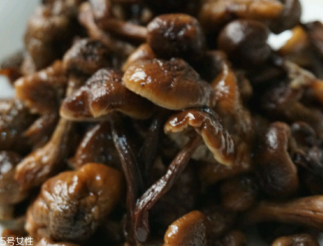 榛蘑能和雞一起吃嗎？榛蘑和雞一起吃的好處