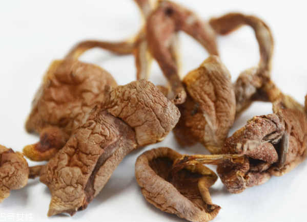 榛蘑和蘿卜相克嗎？榛蘑能不能和蘿卜一起吃？