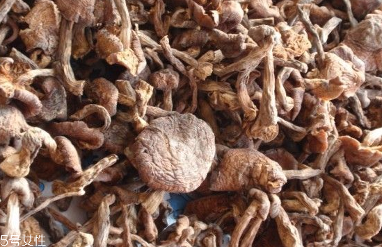 榛蘑和木耳的區(qū)別 榛蘑和木耳能一起吃嗎？