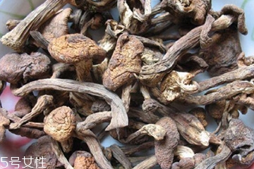 榛蘑和木耳的區(qū)別 榛蘑和木耳能一起吃嗎？