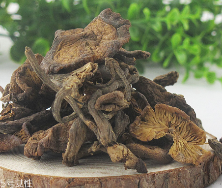 榛蘑能和豆腐一起吃嗎？榛蘑豆腐的做法