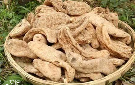 榛蘑和天麻的關(guān)系 榛蘑和天麻有什么聯(lián)系？