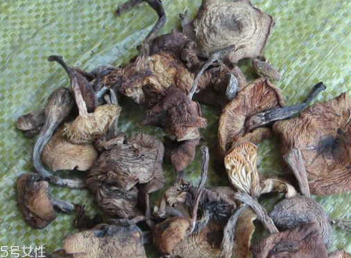 榛蘑能保存多久？干榛蘑怎么保存最好？