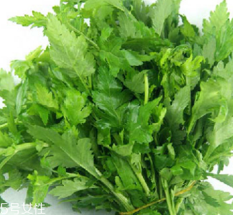 菊花腦是苦的嗎？菊花腦苦不苦？