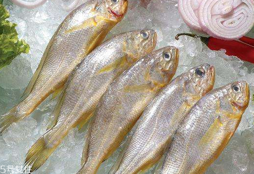 黃花魚(yú)是發(fā)物嗎？黃花魚(yú)是涼性的嗎？