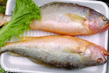黃花魚是發(fā)物嗎？黃花魚是涼性的嗎？