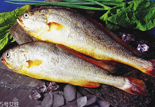 黃花魚(yú)是發(fā)物嗎？黃花魚(yú)是涼性的嗎？